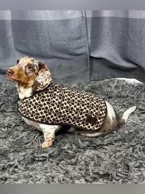 Vintage Coach Signature Brown & Tan with Leather Trim Dog Coat